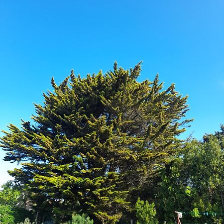 Le Stud' A Saint Pierre D'Oleron ! Διαμέρισμα Δωμάτιο φωτογραφία
