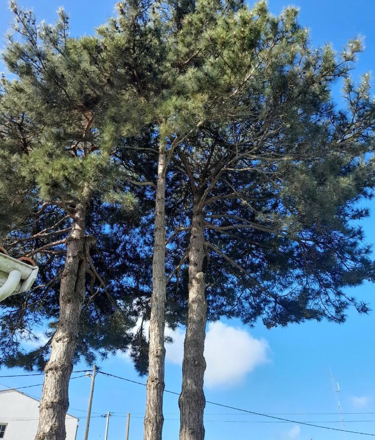 Le Stud' A Saint Pierre D'Oleron ! Διαμέρισμα Εξωτερικό φωτογραφία