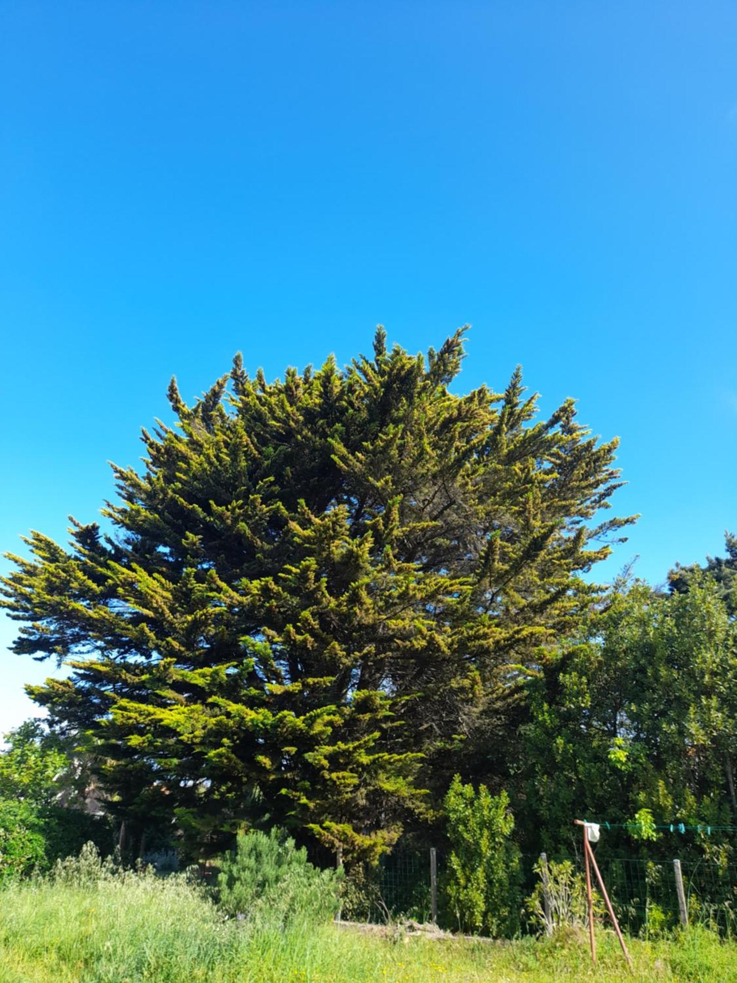 Le Stud' A Saint Pierre D'Oleron ! Διαμέρισμα Δωμάτιο φωτογραφία